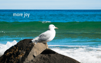 let’s talk about joy