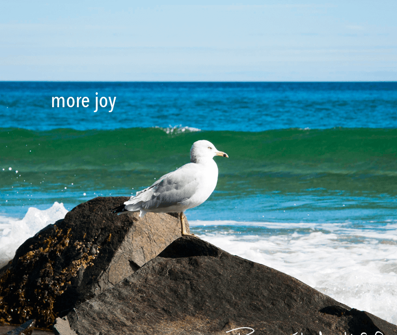 let’s talk about joy