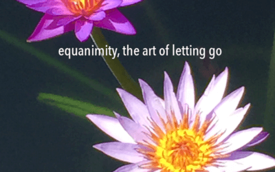 Equanimity, the art of letting go