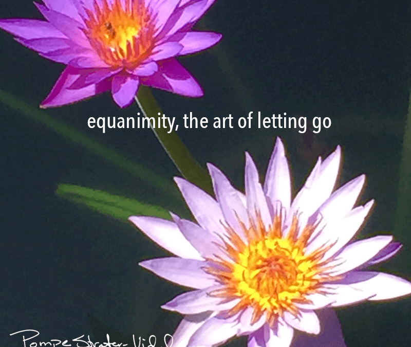 Equanimity, the art of letting go