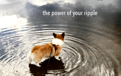 the power of your ripple