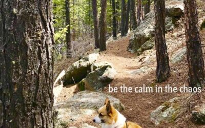 be the calm in the chaos